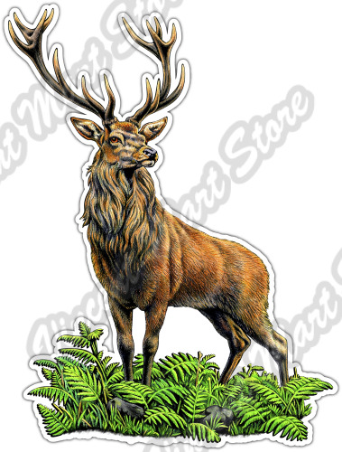 Red Deer Stag Hunting Hunter Animal Wild Car Bumper Vinyl Sticker Decal 4\