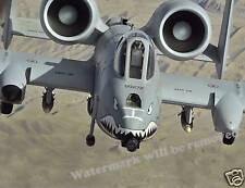 Photograph of the USAF A10 Thunderbolt II   Jet Fighter Aircraft  8x10 picture