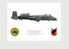 Warhead Illustrated SE A-10A Thunderbolt II 174th TFW, New York ANG Print picture