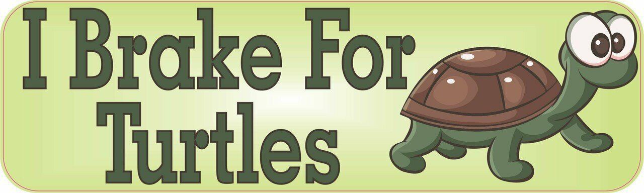 10in x 3in I Brake For Turtles Bumper Sticker Decal Stickers Decals