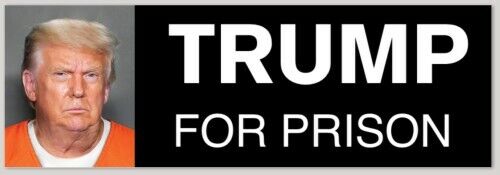 TRUMP FOR PRISON bumper sticker decal anti-trump biden harris 2024
