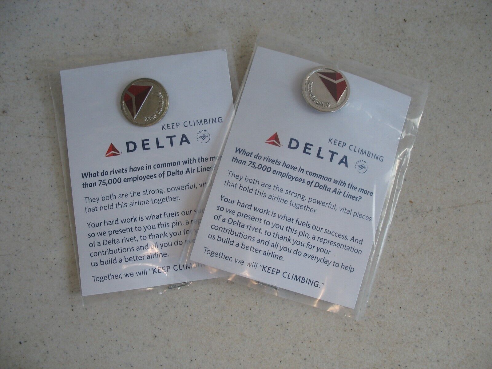 NIP PR Delta Airlines Keep Climbing Pin Back Pin For Employees Uniforms