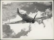 Hawker Sea Fury prototype ca 1944 AVIATION OLD PHOTO picture