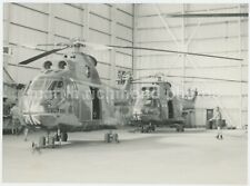 Aerospatiale Puma Helicopters 33 Sqdn RAF Akrotiri Large Original Photo, BZ723 picture
