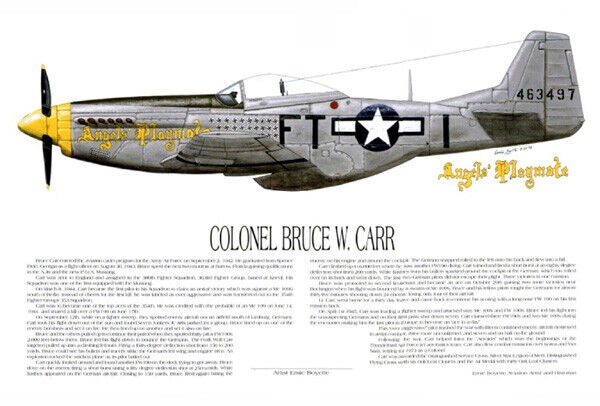 P-51D, Mustang Ace, Bruce Carr, & Memphis Belle, 2 artworks, Artist, E. Boyette