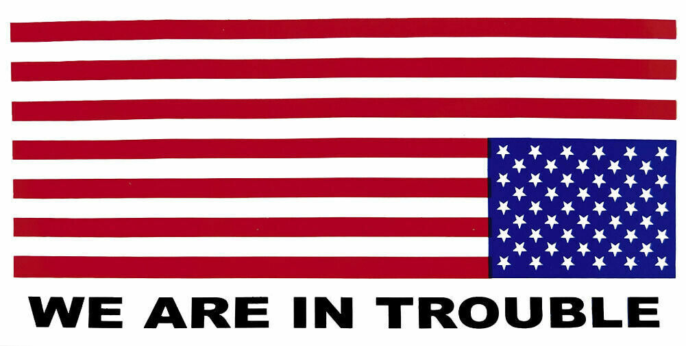 We Are In Trouble USA Flag Vinyl Decal Bumper Sticker