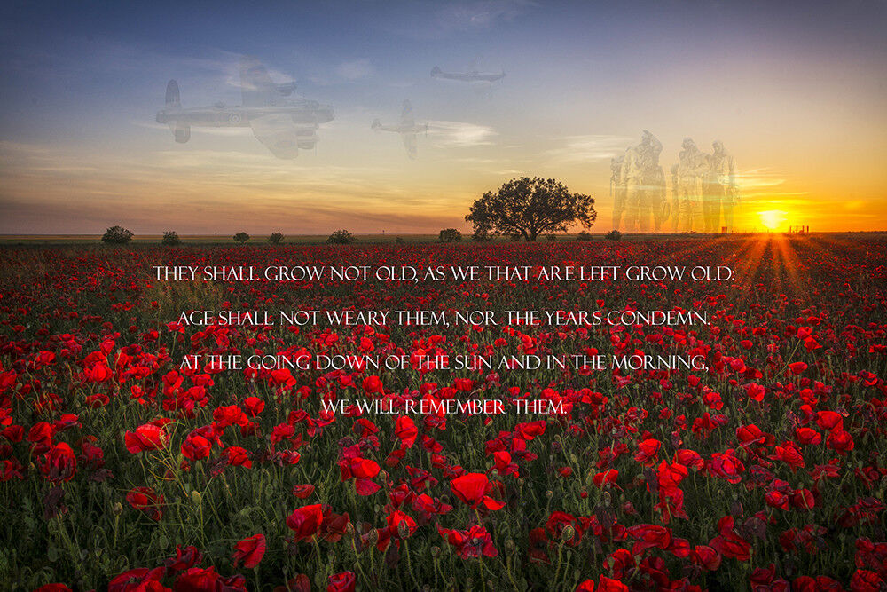 RAF Memorial, full Ode of remembrance poppy Field canvas prints various sizes 