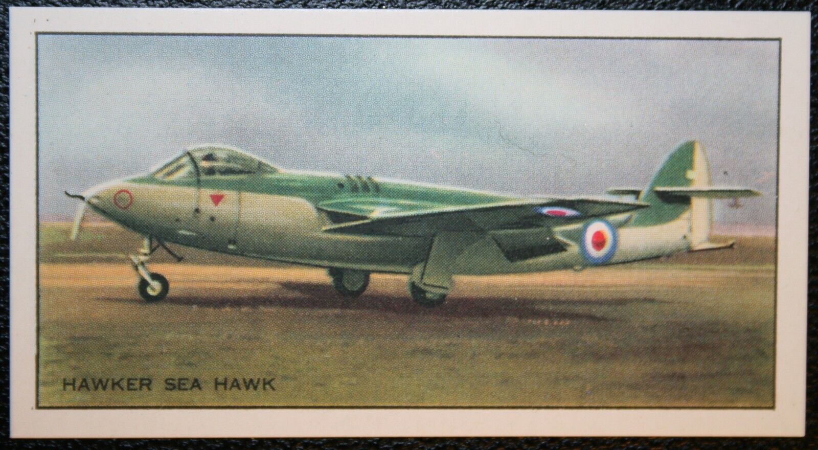 Hawker Sea Hawk   Royal Navy Jet Fighter  Vintage Picture Card