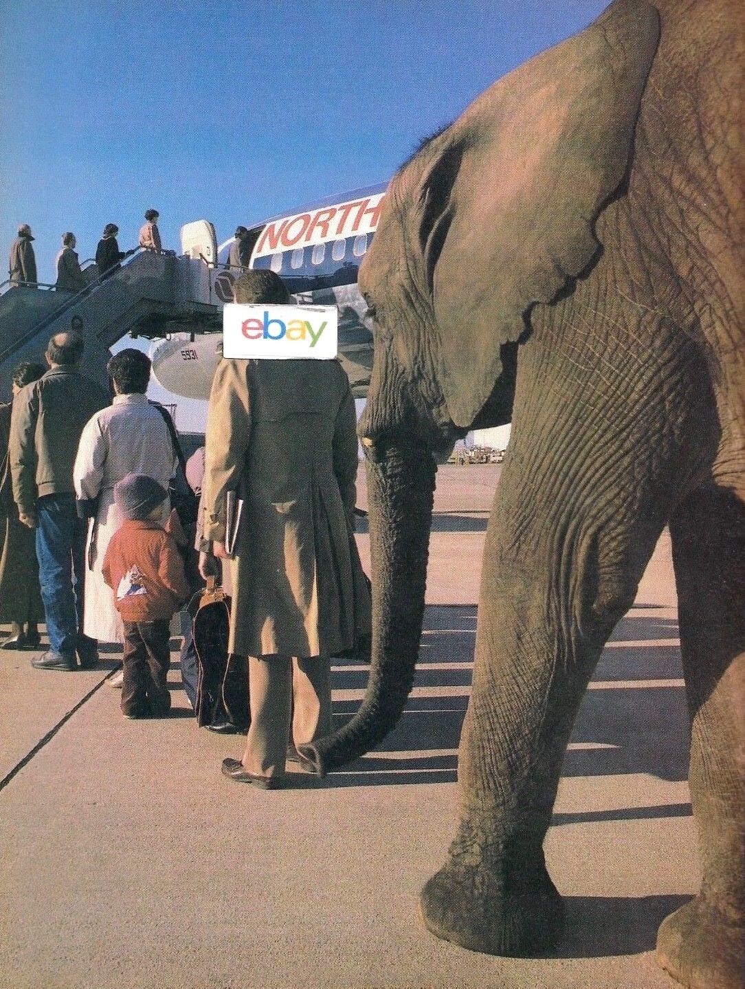  NORTHWEST AIRLINES B757-200 WITH PW2000 ENGINES ELEPHANT BOARDING 2 PG AD