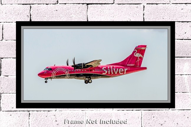 Silver Airways ATR 42-600 10
