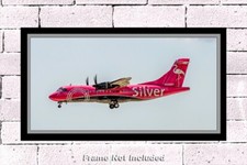 Silver Airways ATR 42-600 10