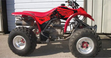 2001 - 2004 Honda TRX 250 EX Graphics Kit - Pro Ed D51-2 Red picture