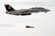8x10 Photograph: Grumman F-14 Tomcat Fighter VF-103 Jet Jolly Rogers Squadron picture