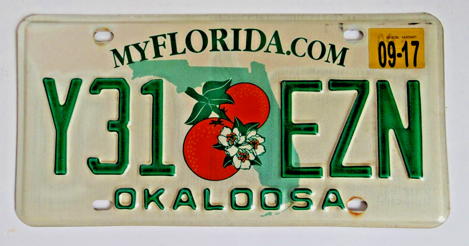 Pick One Florida Orange Blossom License Plate MyFlorida.com *Pick One*