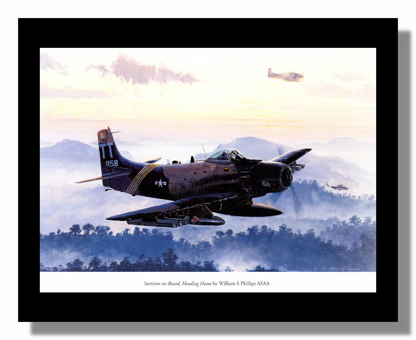 McDonnell Douglas A-1 Skyraider framed picture William Phillips free p&p UK