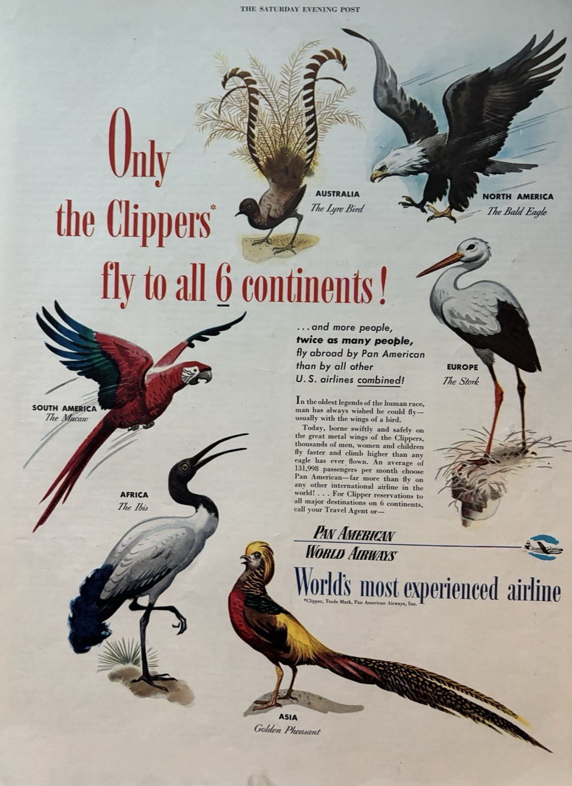 1949 Pan American World Airways Birds Fly Travel Clippers Eagle VTG Print Ad