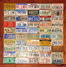 Full 50 State Set of United States License Plates in Poor Condition picture