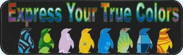 10in x 3in Express True Colors Bumper magnet Penguin  magnetic magnets