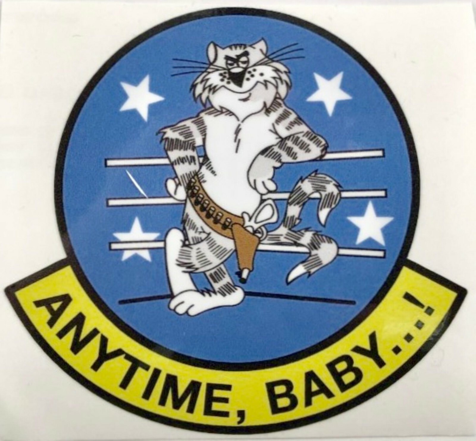 Grumman F-14 Tomcat Peel & Stick Vinyl Decal 