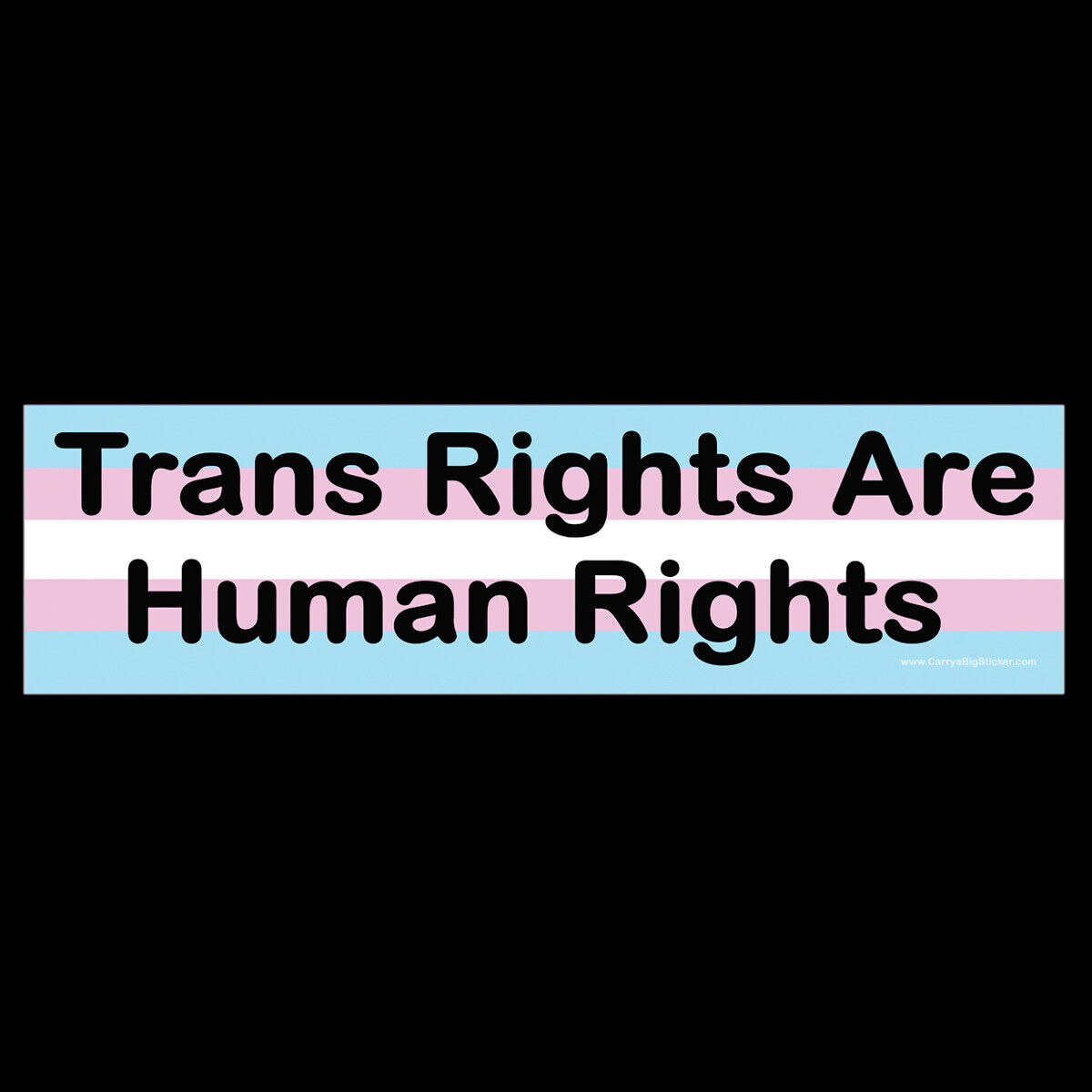 Trans Rights are Human Rights BUMPER STICKER or MAGNET magnetic transgender 