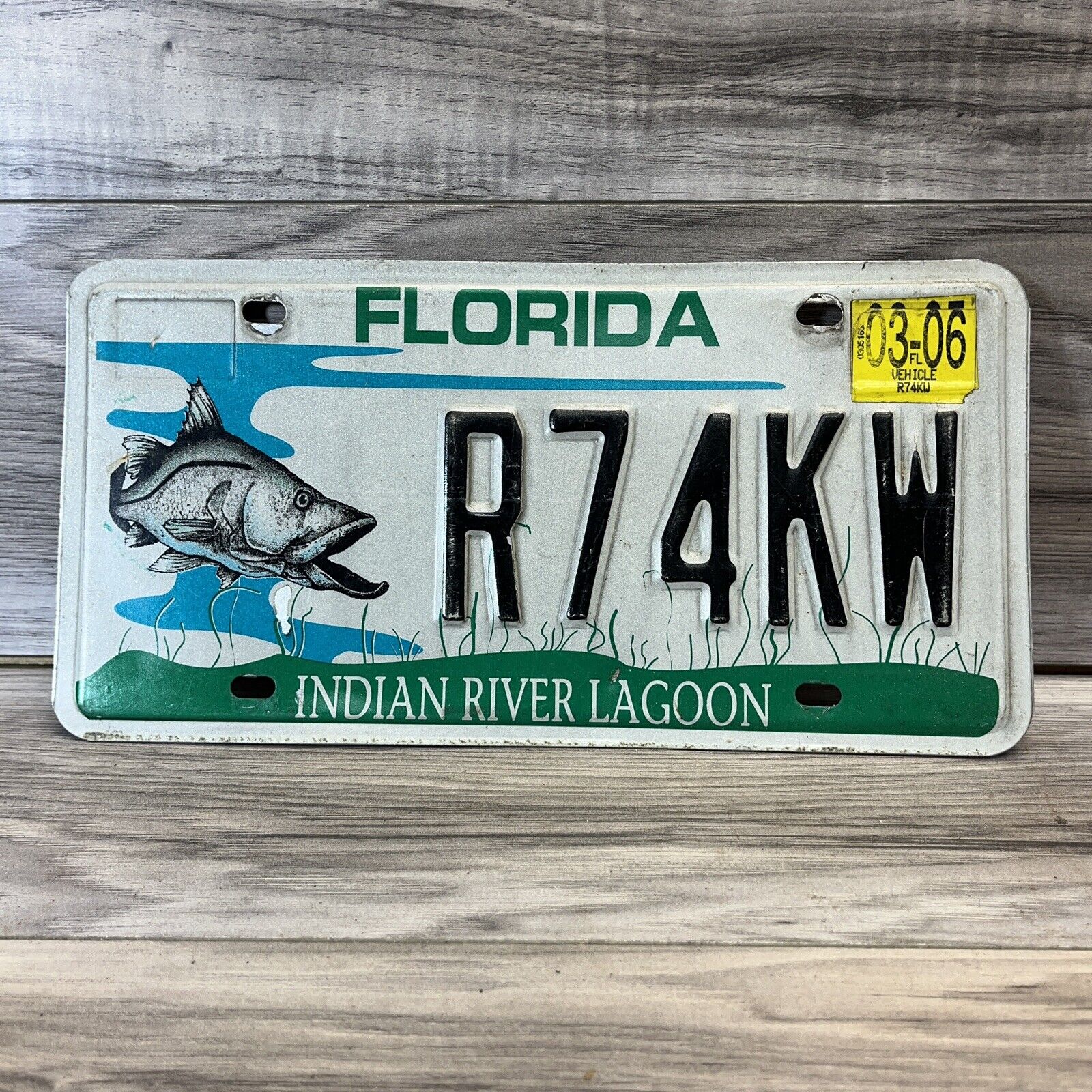 Florida Specialty License Plate 2006 Indian River Lagoon R74KW Man Cave Decor