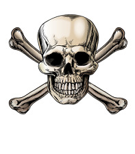 Skull and Crossbones  Sticker /  Decal  | 10 Sizes with TRACKING picture