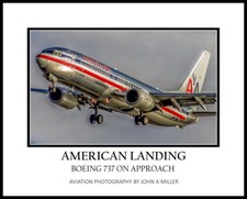 American Airlines Legacy Boeing 737-800 Landing 16