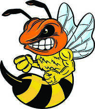 5in x 3in Orange and Yellow Hornet Vinyl Sticker Car Truck Vehicle Bumper Decal picture