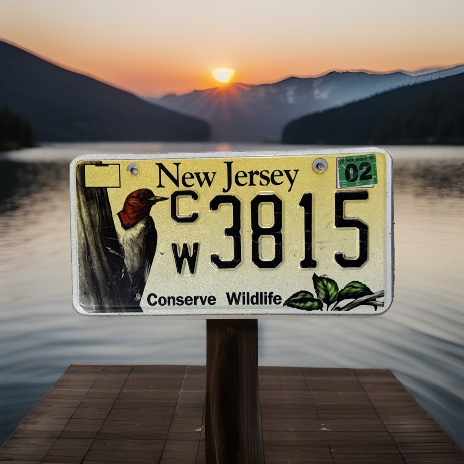 2002 New Jersey License Plate Conserve Wildlife Discontinued Version 2002 New Jersey License Plate Conserve Wildlife Discontinued Version