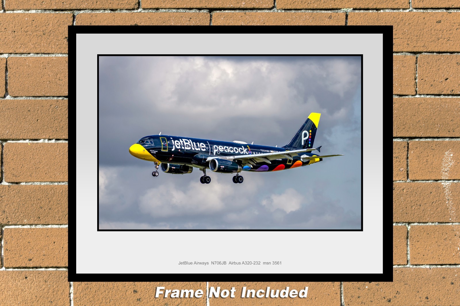 JetBlue Airways Airbus A320-232 11\