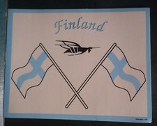McDonnell Douglas Finnish Air Force F/A-18 Hornet Sticker picture
