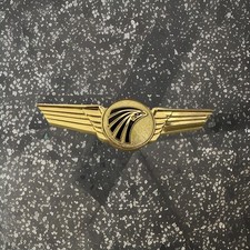 Egyptair Captain Wings picture