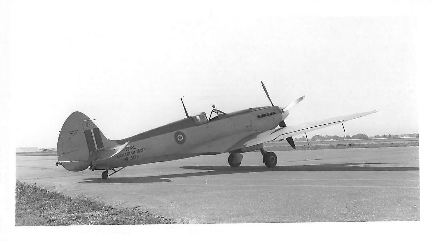 Royal Canadian Navy Supermarine Seafire Airplane Aviation Original War Photo F