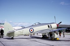 Royal Navy Hawker Sea Fury FB.11 VX653 at RNAS Lossiemouth (1964) Photograph picture