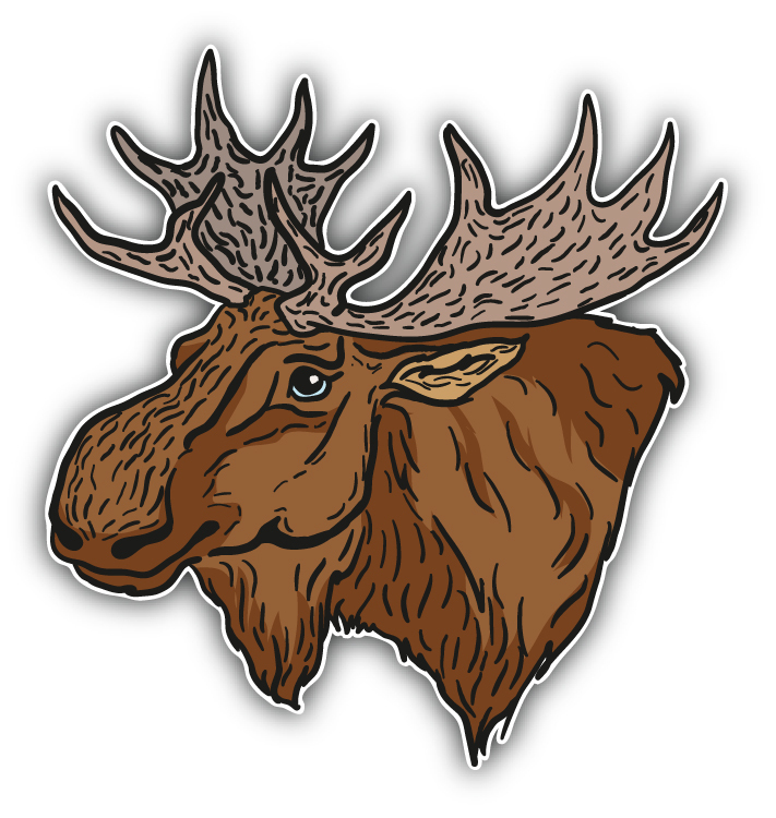 Moose Head Sketch Car Bumper Sticker Decal 5'' x 5''