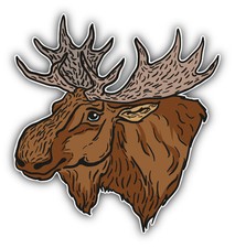 Moose Head Sketch Car Bumper Sticker Decal 5'' x 5'' picture
