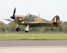 RAF BATTLE OF BRITAIN MEMORIAL FLIGHT HURRICANE 11x14 GLOSSY PHOTO PRINT picture