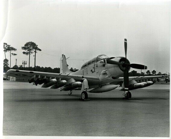 Douglas AD-5 Skyraider A1E Attack Aircraft - Original Air Force Press Photo