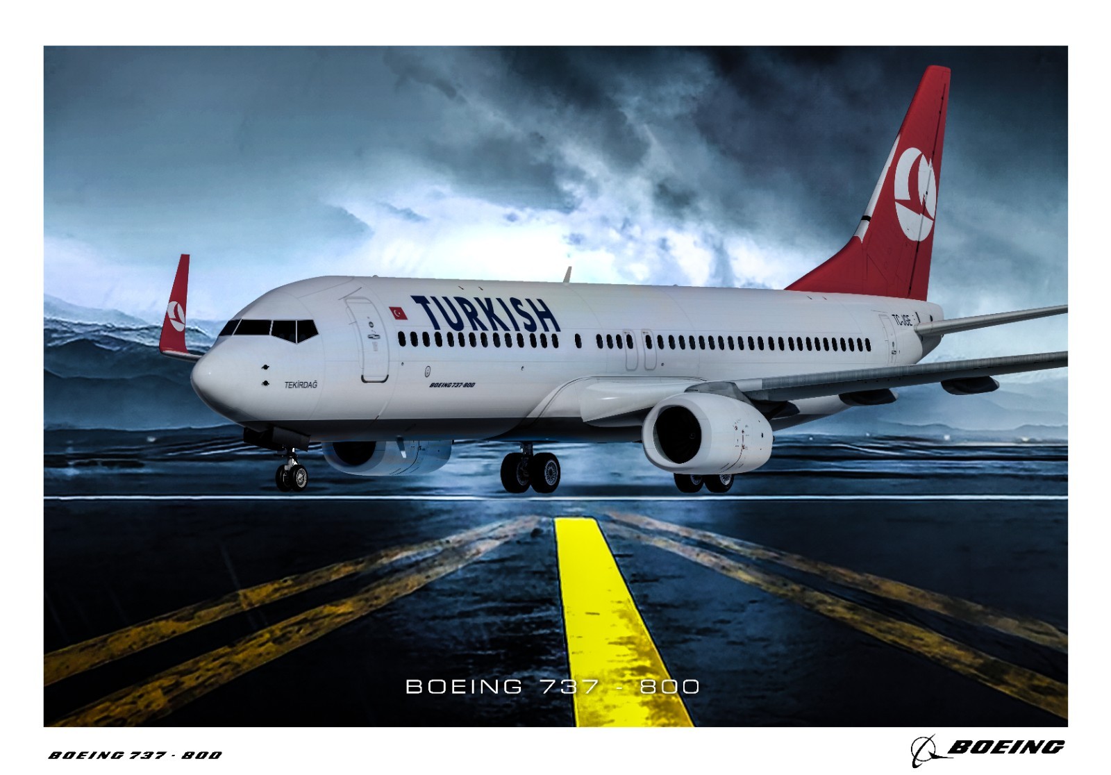 Boeing 737-800 Poster 24IN X 36IN Boeing 737-800 Poster 24IN X 36IN