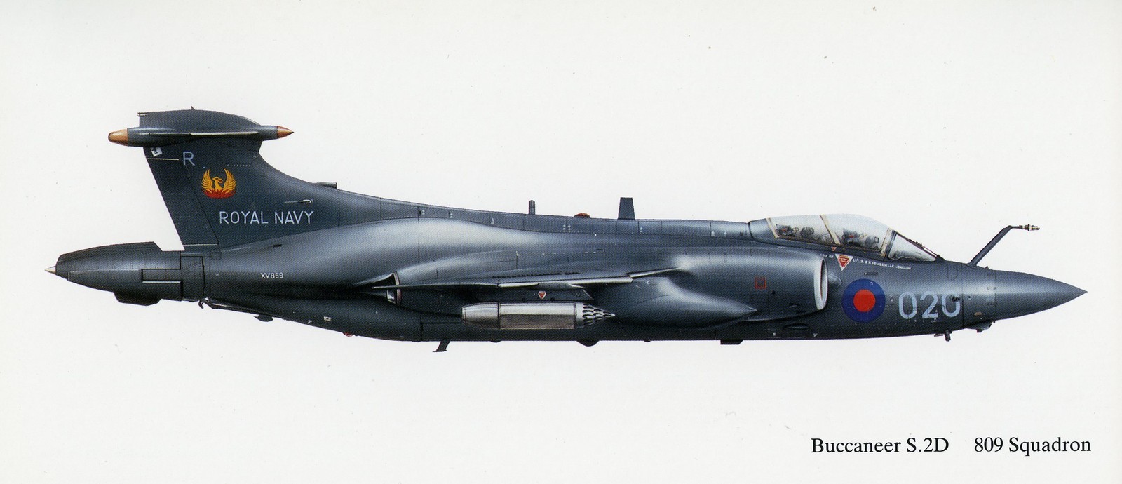 BUCCANEER - 809 SQUADRON PROFILE PRINT. BUCCANEER - 809 SQUADRON PROFILE PRINT.