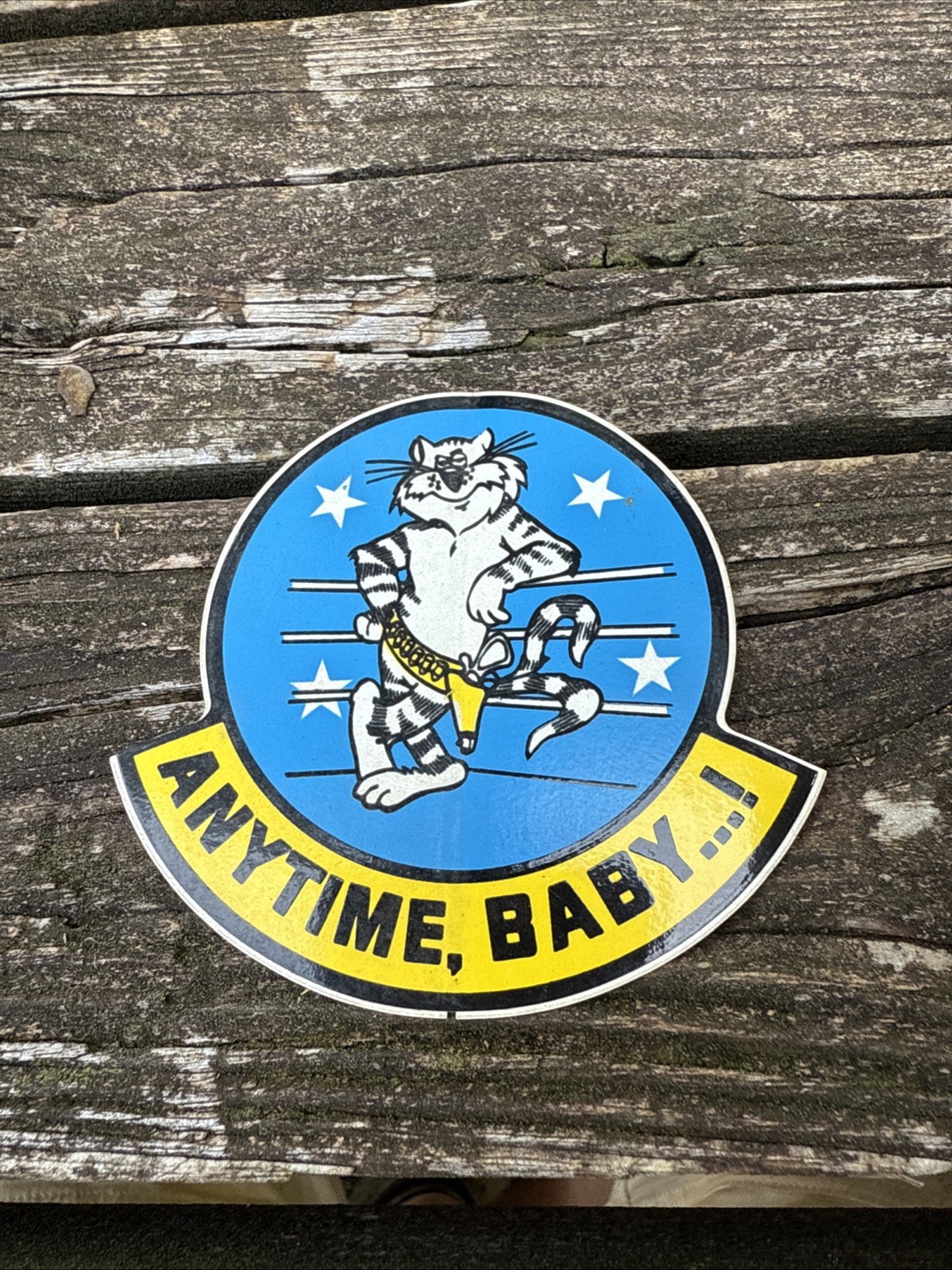 Grumman F-14 Tomcat Peel & Stick Vinyl Decal \ Grumman F-14 Tomcat Peel & Stick Vinyl Decal \