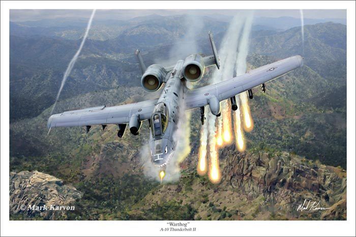 A-10 Thunderbolt II Warthog  Aviation Art Print - 16\