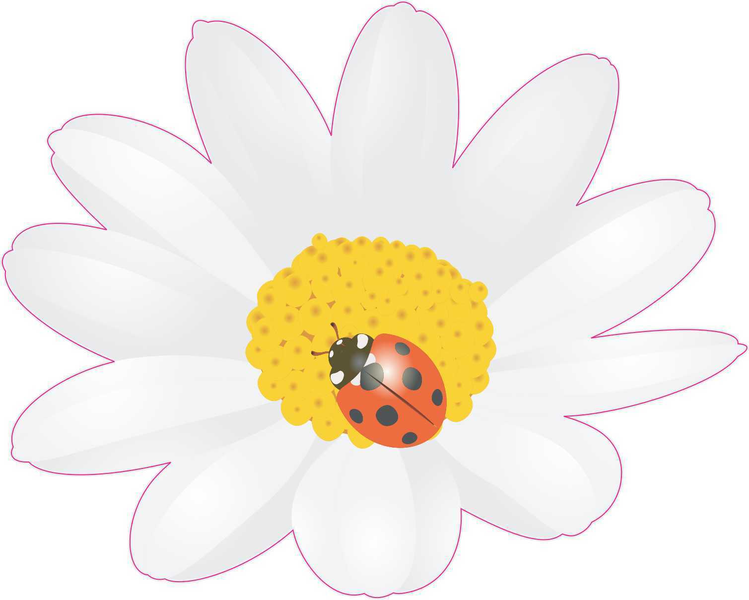 5in x 4in Ladybug and Daisy Vinyl Sticker Car Truck Vehicle Bumper Decal