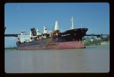 4 Original Ship Slides - MILLENIUM OSPREY, SUN BIRD, NEVA TRADER & FEDERAL YUKON picture