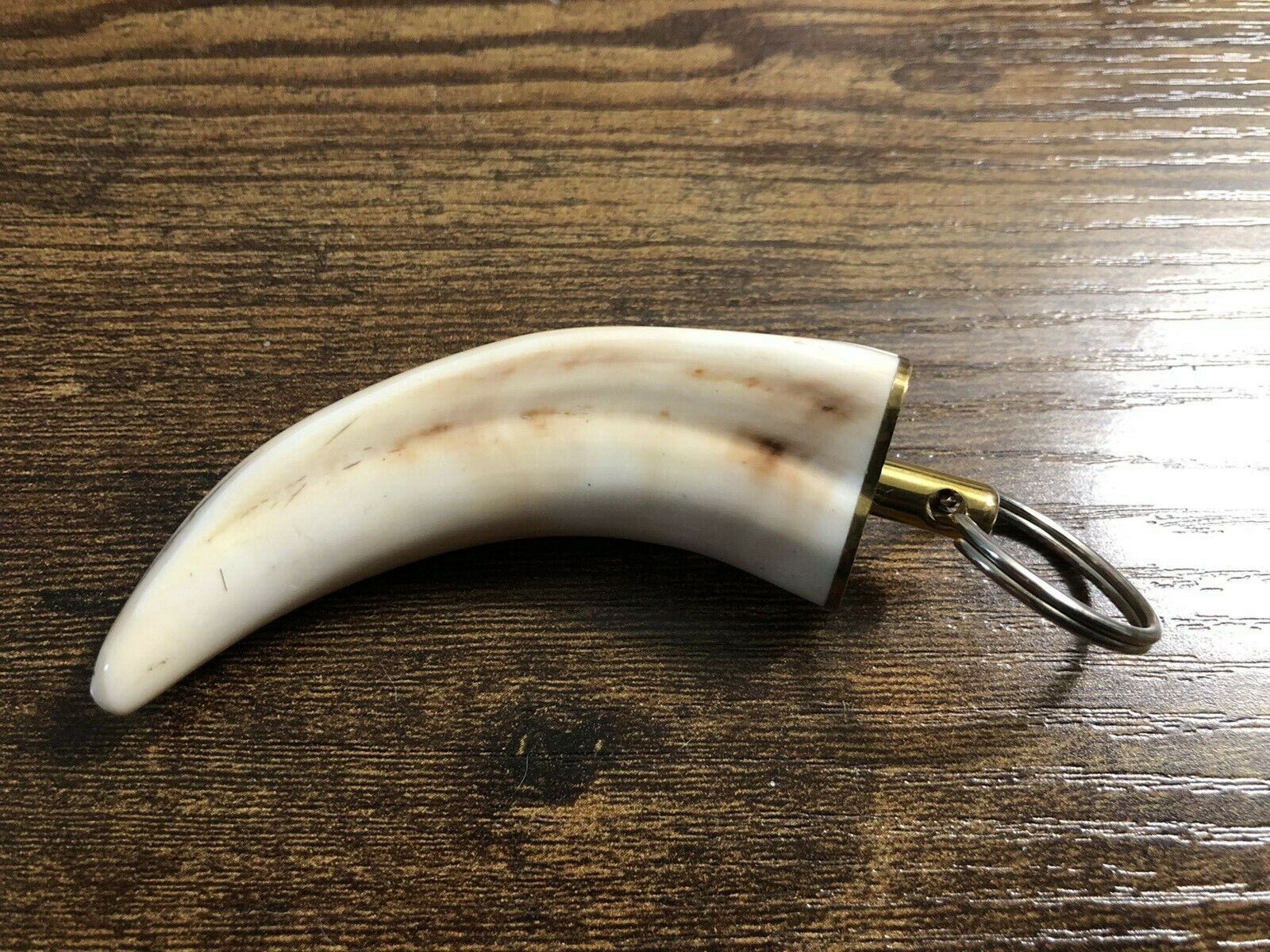 Warthog Tusk Key Ring