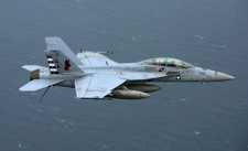 McDonnell Douglas FA-18 VFA-22 Desktop Wood Airplane New Model Small Scale 1/72 picture