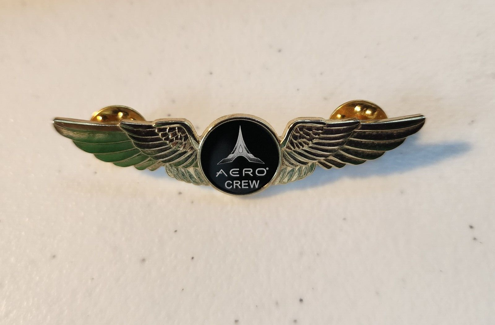Aero Crew Member Wings Pin
